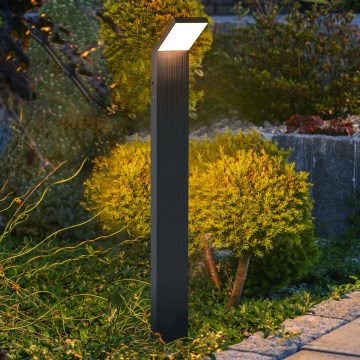 Brilagi - Luminaire LED d'extérieur RIANO 8 W 230 V anthracite IP65 80 cm