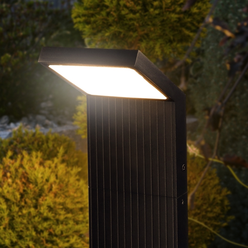 Brilagi - Luminaire LED d'extérieur RIANO 8 W 230 V anthracite IP65 80 cm