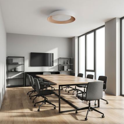 Brilagi - Plafonnier LED dimmable ALVA LED/48W/230V 3000-6500K Ø 51 cm blanc + télécommande