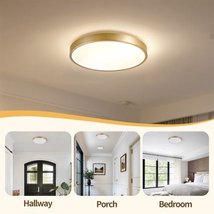 Brilagi - Plafonnier LED dimmable GLASS POOL DOUBLE LED/48W/230V 3000-6000K 40 cm doré + télécommande