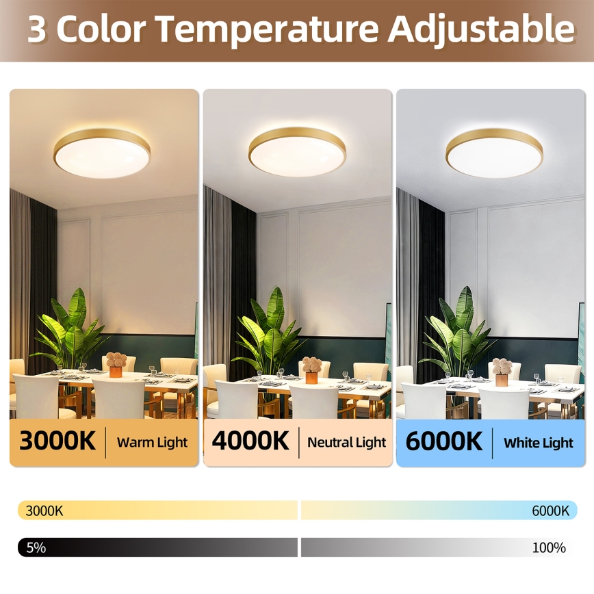 Brilagi - Plafonnier LED dimmable GLASS POOL DOUBLE LED/60W/230V 3000-6000K 50 cm doré + télécommande