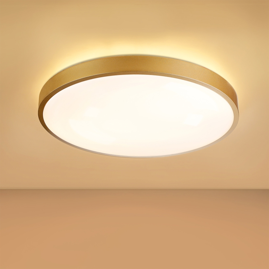 Brilagi - Plafonnier LED dimmable GLASS POOL DOUBLE LED/60W/230V 3000-6000K 50 cm doré + télécommande