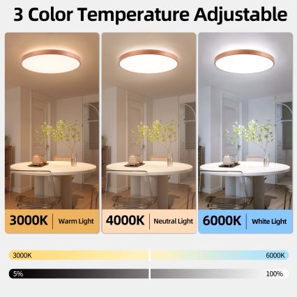 BRILAGI - Plafonnier LED dimmable GLASS POOL DOUBLE LED/80W/230V Ø 60 cm cuivré + télécommande
