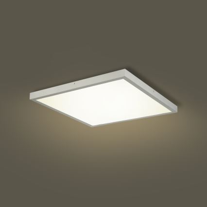 Brilagi - Plafonnier LED dimmable pour salle de bains FRAME SMART LED/50W/230V 60x60 cm 3000-6000K IP44 argent + télécommande