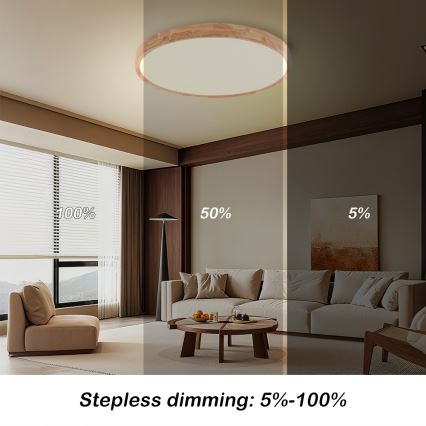 Brilagi - Plafonnier LED dimmable WOODROUND LED/40W/230V 3000-6000K diam. 60 cm bois IRC 90 + télécommande