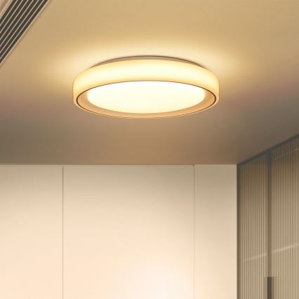 Brilagi - Plafonnier à intensité variable RGB FLOCO LED/30W/230V 3000-6500K Wi-Fi Tuya + LED/6W + télécommande