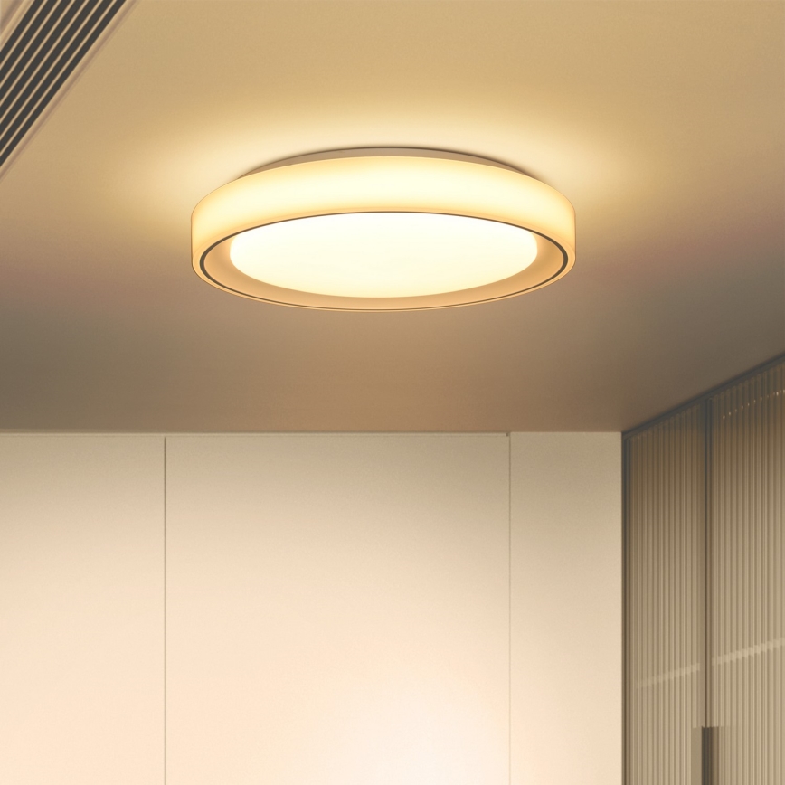 Brilagi - Plafonnier à intensité variable RGB FLOCO LED/30W/230V 3000-6500K Wi-Fi Tuya + LED/6W + télécommande
