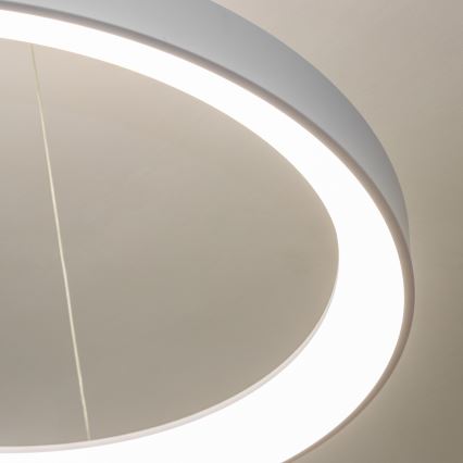 Brilagi - Suspension LED dimmable sur câble FALCON II LED/108W/230V 3000-6500K Ø 80 cm blanc + télécommande