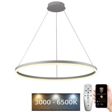Brilagi - Lustre suspendu dimmable sur câble CIRCLE LED 55W 230V 3000–6500K Ø 80 cm, blanc, avec télécommande