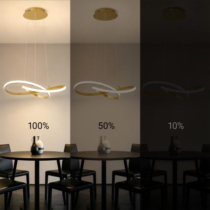 BRILAGI - Suspension LED dimmable sur câble INFINITY LED/55W/230V 3000-6000K 50x50 cm dorée + télécommande