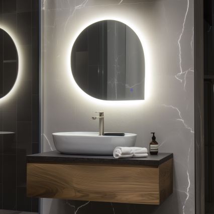 Brilagi - Miroir de salle de bains LED RICADI LED/19W/230V 60x60 cm IP44 IRC 90 dimmable + CCT