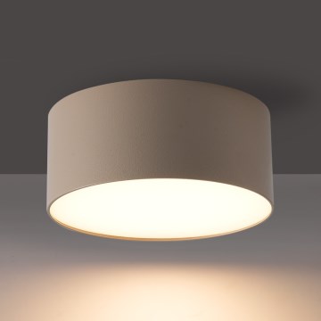 BRILAGI - Plafoniera a LED da esterno FORIS LED/14W/230V Ø 12 cm beige IP44