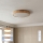 Brilagi - Plafoniera a LED dimmerabile POOL LED/36W/230V 3000-6000K Ø 30 cm finitura effetto legno + telecomando