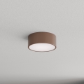 Brilagi - Plafoniera CLARE 1xE27/40W/230V Ø 20 cm marrone
