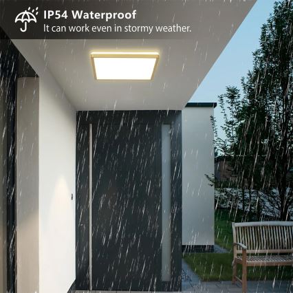 Brilagi - Plafoniera da bagno LED ULTRA SLIM 24W/230V 42x42 cm dorata IP54