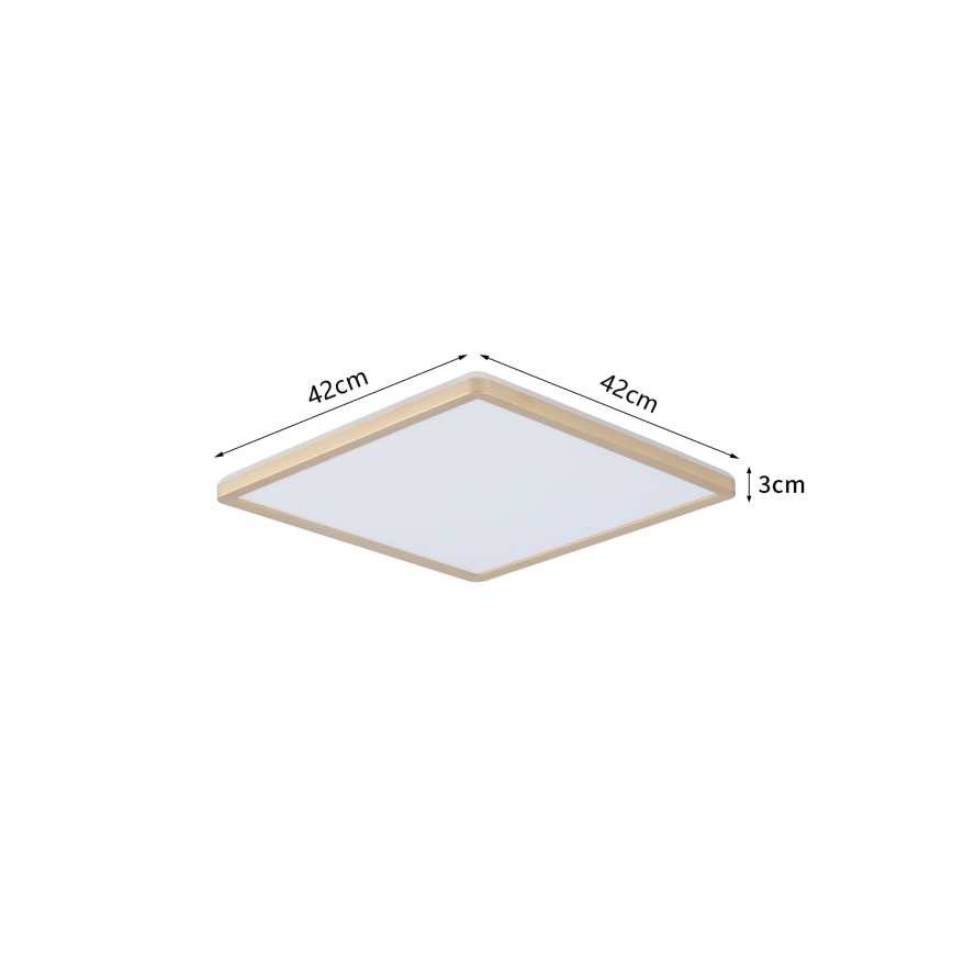 Brilagi - Plafoniera da bagno LED ULTRA SLIM 24W/230V 42x42 cm dorata IP54