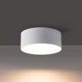 BRILAGI - Plafoniera da esterno a LED FORIS LED/9W/230V Ø 9 cm bianca IP44