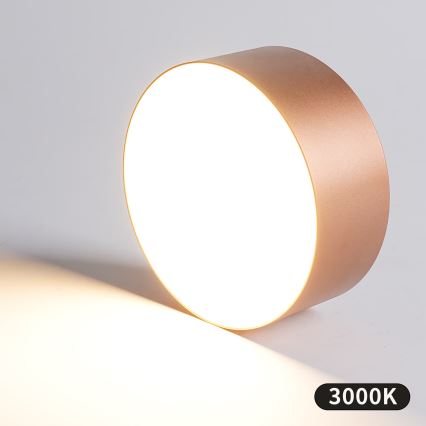BRILAGI - Plafoniera da esterno FORIS LED/20W/230V Ø 15 cm bronzo IP44
