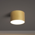 BRILAGI - Plafoniera da esterno FORIS LED/9W/230V Ø 9 cm dorata IP44