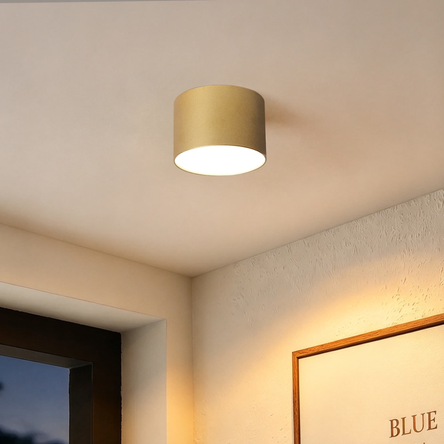 BRILAGI - Plafoniera da esterno FORIS LED/9W/230V Ø 9 cm dorata IP44