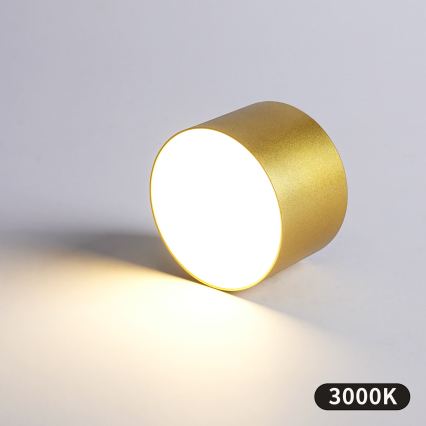 BRILAGI - Plafoniera da esterno FORIS LED/9W/230V Ø 9 cm dorata IP44