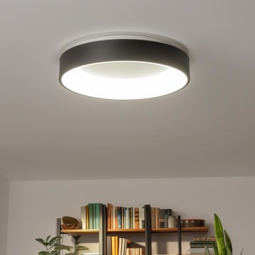 Brilagi - Plafoniera dimmerabile a LED FALCON LED/80W/230V 3000-6500K Ø 60 cm nera + telecomando