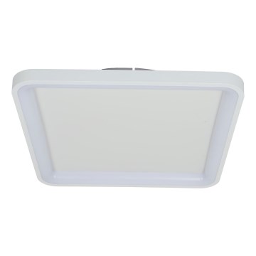 Brilagi - Plafoniera dimmerabile a LED FALCON SLIM LED/50W/230V 3000-6500K 50x50 cm bianca + telecomando