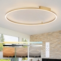 Brilagi - Plafoniera dimmerabile a LED PORTOFINO LED/85W/230V 3000-6000K Ø 120 cm dorata + telecomando