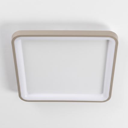 BRILAGI - LED dimmerabile plafoniera FALCON SLIM LED/50W/230V 3000-6500K 50x50 cm bianco/beige + telecomando