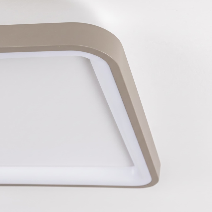 BRILAGI - LED dimmerabile plafoniera FALCON SLIM LED/50W/230V 3000-6500K 50x50 cm bianco/beige + telecomando