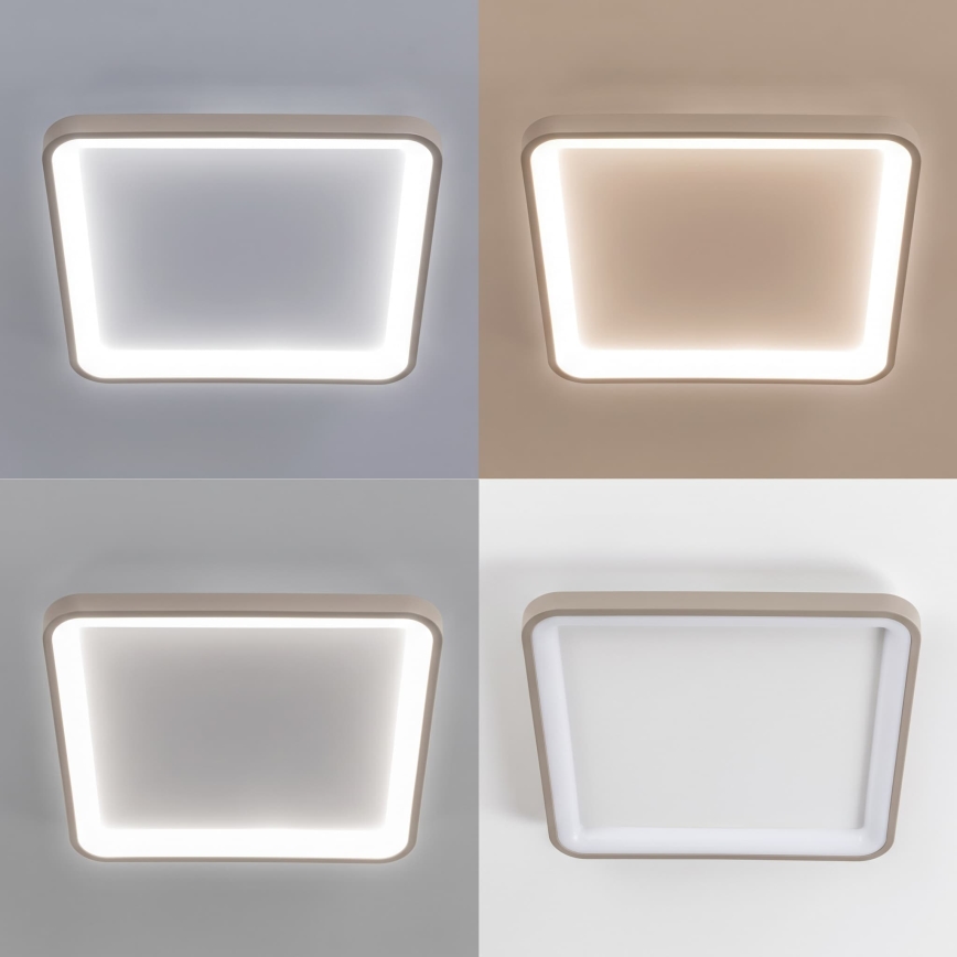 BRILAGI - LED dimmerabile plafoniera FALCON SLIM LED/50W/230V 3000-6500K 50x50 cm bianco/beige + telecomando