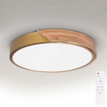 BRILAGI - Plafoniera dimmerabile LED PILANA LED/48W/230V 3000-6500K rovere/dorato Ø 40 cm + telecomando