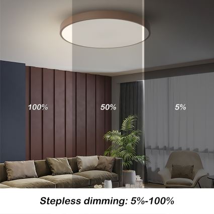 Brilagi - Plafoniera LED dimmerabile POOL LED/60W/230V 3000-6000K Ø 60 cm marrone + telecomando