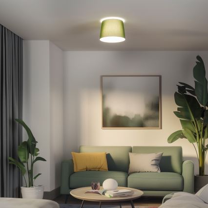 Brilagi - Plafoniera LED a montaggio superficiale CERIA 1xE27/40W/230V Ø 30 cm verde
