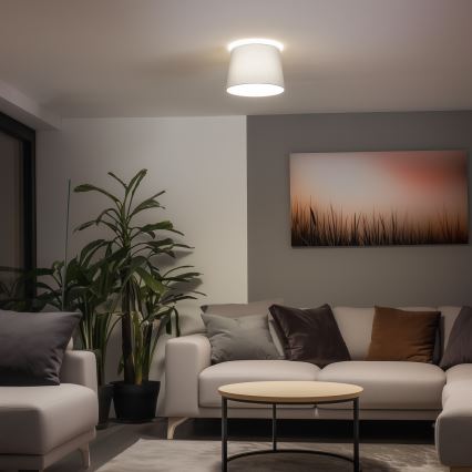 Brilagi - Plafoniera LED CERIA 1xE27/40W/230V Ø 30 cm grigia