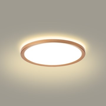 Brilagi - Plafoniera LED da bagno ULTRA SLIM 18W/230V Ø 30 cm oro rosa IP54
