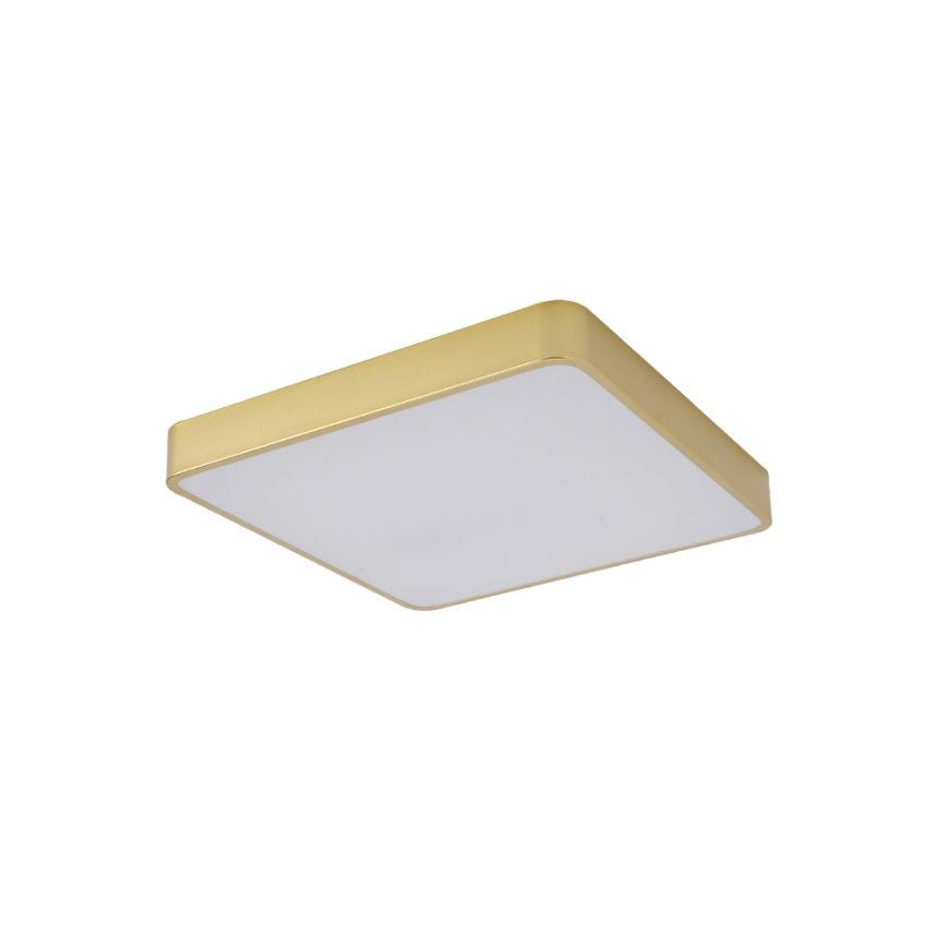 Brilagi - Plafoniera LED da soffitto POOL LED/48W/230V 3000/4000/6000K 50x50 cm dorata