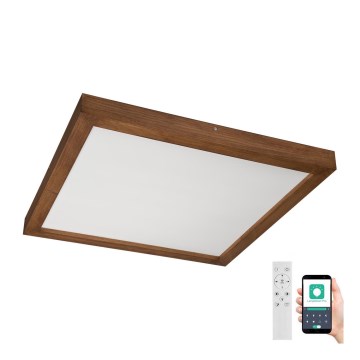 Brilagi - Plafoniera LED dimmerabile da bagno WOODY FRAME LED/50W/230V quercia ciliegio 60x60 cm 3000-6000K IP44 + telecomando