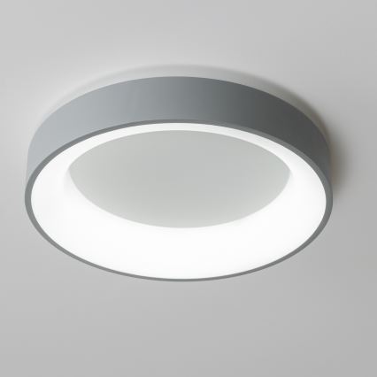 Brilagi - Plafoniera LED dimmerabile FALCON LED/40W/230V 3000–6500K Ø 45 cm grigia + telecomando