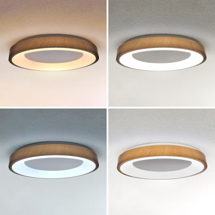 Brilagi - Plafoniera LED dimmerabile DORIA LED/60W/230V 3000-6500K Ø 60 cm + telecomando