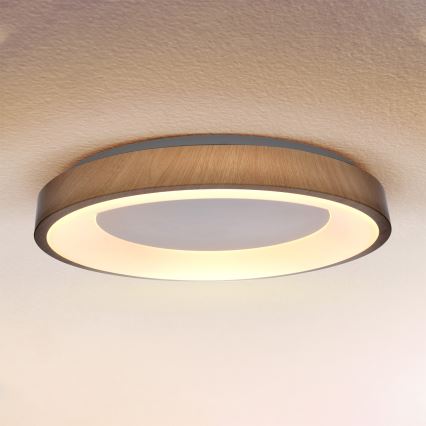 Brilagi - Plafoniera LED dimmerabile DORIA LED/60W/230V 3000-6500K Ø 60 cm + telecomando