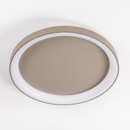 BRILAGI - Plafoniera dimmerabile a LED FALCON II LED/108W/230V 3000-6500K Ø 80 cm beige + telecomando