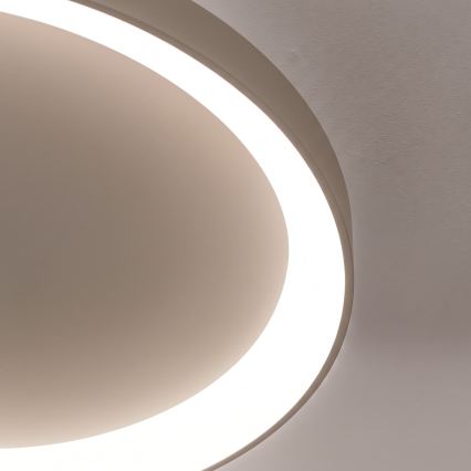 BRILAGI - Plafoniera dimmerabile a LED FALCON II LED/108W/230V 3000-6500K Ø 80 cm beige + telecomando