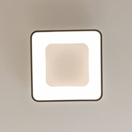 Brilagi - Plafoniera LED dimmerabile FALCON II LED/80W/230V 3000-6500K 40x40 cm nera con telecomando