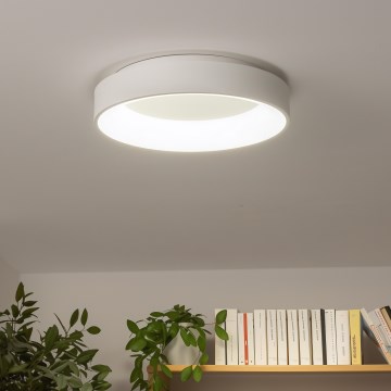 Brilagi - Plafoniera LED dimmerabile FALCON LED/40W/230V 3000-6500K bianco + telecomando
