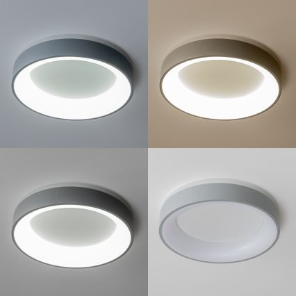 Brilagi - Plafoniera LED dimmerabile FALCON LED/80W/230V 3000-6500K Ø 60 cm grigio + telecomando