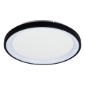 Brilagi - Plafoniera LED dimmerabile FALCON SLIM LED/42W/230V 3000-6500K Ø 50 cm nera + telecomando