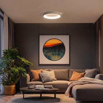 BRILAGI - Plafoniera LED dimmerabile FALCON SLIM LED/42W/230V 3000-6500K Ø 50 cm beige + telecomando