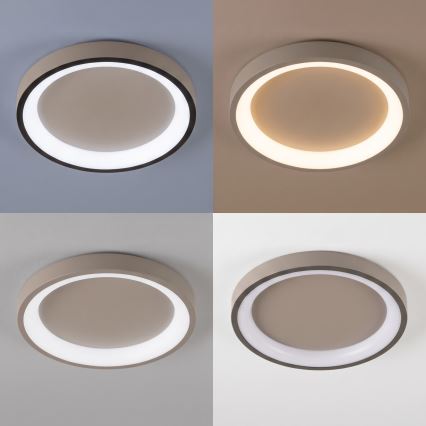 BRILAGI - Plafoniera LED dimmerabile FALCON SLIM LED/42W/230V 3000-6500K Ø 50 cm beige + telecomando
