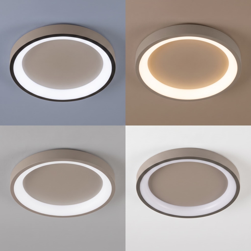 BRILAGI - Plafoniera LED dimmerabile FALCON SLIM LED/42W/230V 3000-6500K Ø 50 cm beige + telecomando